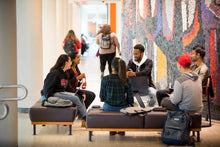 Load image into Gallery viewer, 🎓 Đại học Carleton - Carleton University (Ontario, Canada)