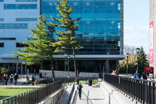 Load image into Gallery viewer, 🎓 Đại học Carleton - Carleton University (Ontario, Canada)