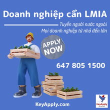 Load image into Gallery viewer, Giấy phép tuyển lao động nước ngoài tạm thời (TFWP), LMIA