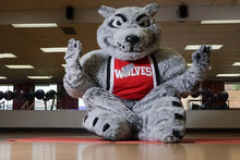 Load image into Gallery viewer, Northwestern Polytechnic, Canada College, Alberta