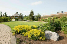 Load image into Gallery viewer, Olds College, Canada College, Alberta