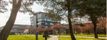 Load image into Gallery viewer, Langara College, Canada College, British Columbia -  KeyApply