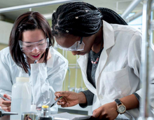 Load image into Gallery viewer, University of New Brunswick, Canada University, New Brunswick -  KeyApply