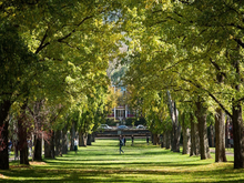 Load image into Gallery viewer, The Australian National University (ANU), Australia University, Australian Capital Territory -  KeyApply