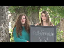 Load and play video in Gallery viewer, CBE - Calgary Board of Education - Elementary Schools, Canada Elementary School, Alberta