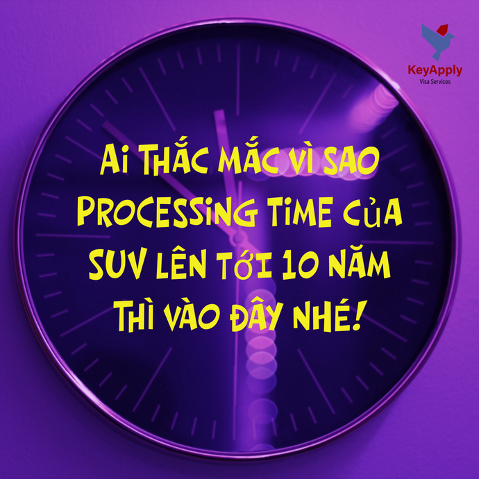 🧩 Ai thắc mắc vì sao Processing Time của SUV lên tới 10 năm thì vào đây nhé!