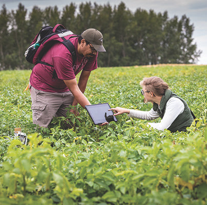 Lethbridge: new Bachelor of Agriculture Science degree program