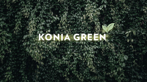 Cơ hội định cư Síp (EU) thông qua dự án Konia Green