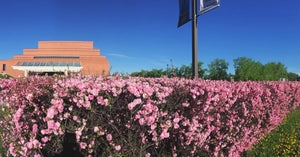 Red Deer Polytechnic, Canada College, Alberta