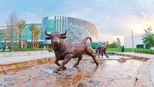 Load image into Gallery viewer, University of South Florida, US University, Florida -  KeyApply
