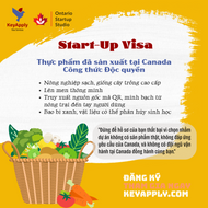 FermaHeat – Dự án Start-Up Visa định cư Canada, tiên phong sốt gia vị lên men thông minh, sạch và đậm bản sắc Á Đông