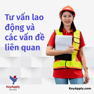 Tư vấn lao động và các vấn đề liên quan