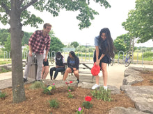 Load image into Gallery viewer, WCDSB - St. Mary's High School, Canada Secondary School, Ontario 
