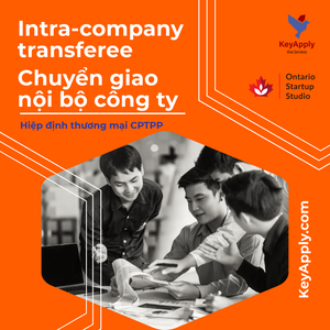 T50 - Intra-company transferee (ICT) theo hiệp định thương mại CPTPP, Chuyển giao nội bộ công ty
