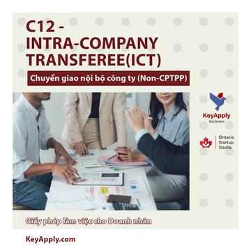 ICT – Internal company transfer (C61/C62/C63)