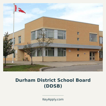 Durham District School Board (DDSB) – KeyApply.com. Real photograph. Source: https://media-003-ca.cdn.govstack.com/ddsb-ca/media/w00l0c5i/our-schools.jpg; cropped and composed.
