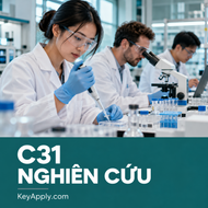 C31 – Nghiên cứu theo chương trình được chỉ định – KeyApply.com