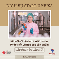 Dịch vụ Start-Up Visa: Kết nối với hệ sinh thái Canada, Phát triển và Báo cáo sản phẩm
