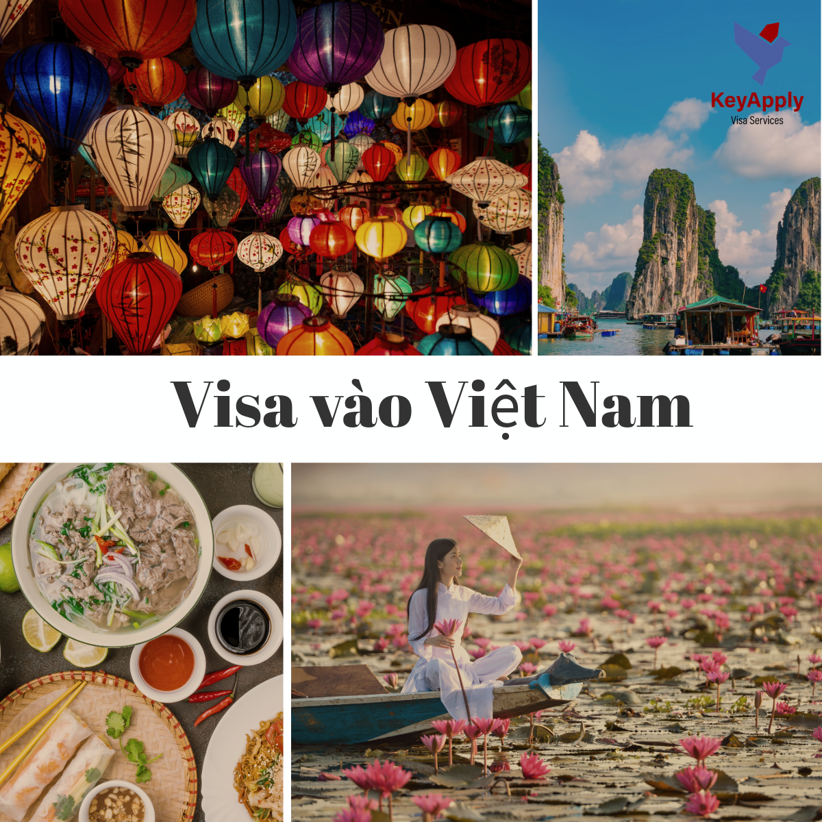 visa vap Now accepting Visa and Mastercard online