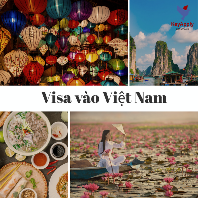 Visa for foreigners entering Vietnam, electronic visa