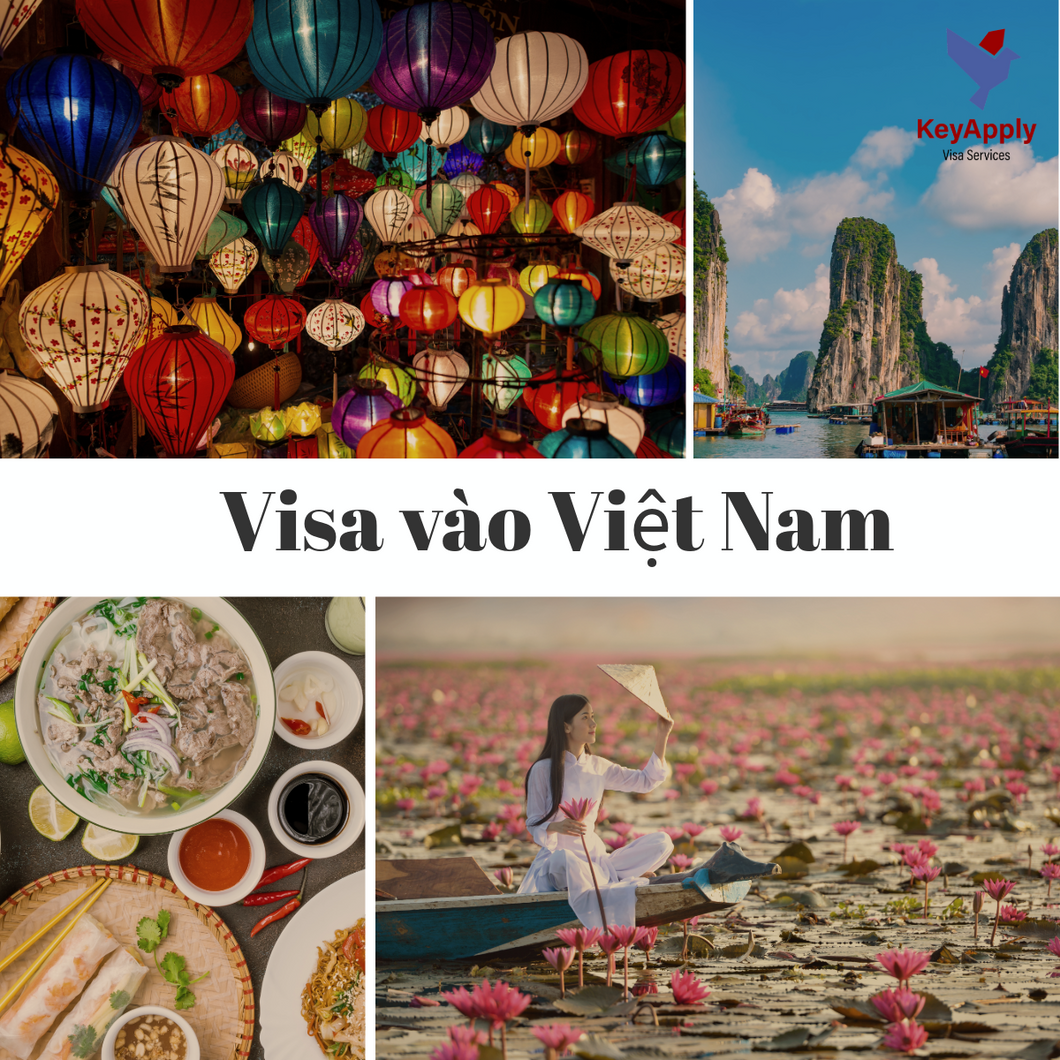 Visa cho người nước ngoài vào Việt Nam, thị thực điện tử